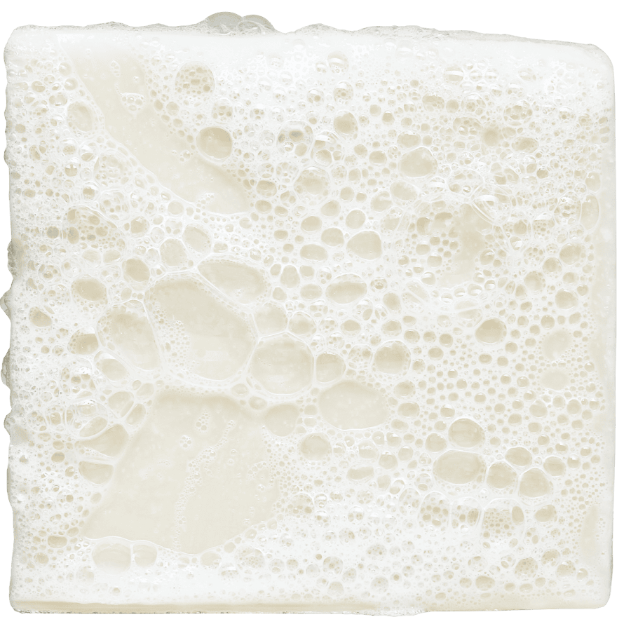 Total Moisture Shea Butter - 6 Units